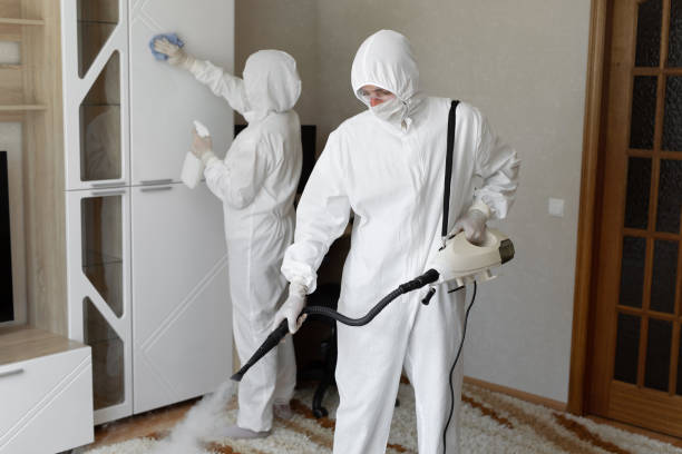 Mold Documentation for Insurance Claims in Madison, FL